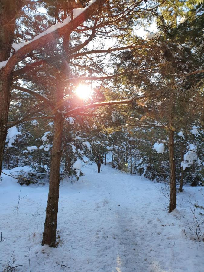 Apartmaji Anita Begunje pri Cerknici Bagian luar foto